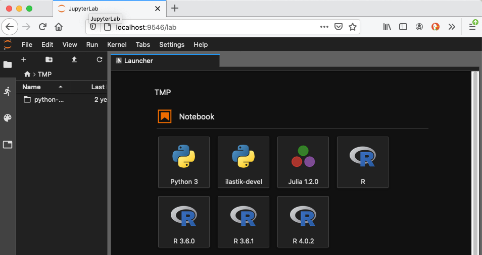 Image showing a Jupyter Lab and its Launcher window with icons on relative to the various kernels available.