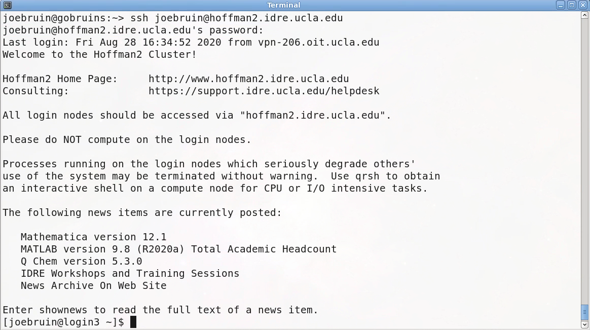 Image showing a unix :term:`terminal` open on the Hoffman2 Cluster